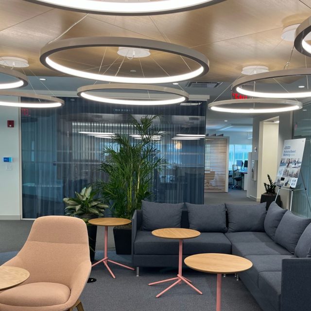 Corporate Office Ripplefold Sheers 2